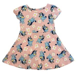 Bluey Pink Skater dress